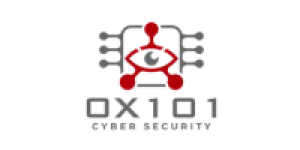 0x101 Cyber Security Logo